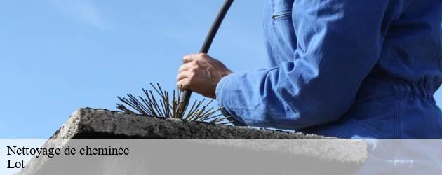 nettoyage-de-cheminee