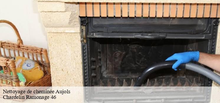 nettoyage-de-cheminee
