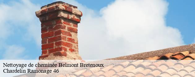 nettoyage-de-cheminee