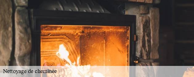 nettoyage-de-cheminee