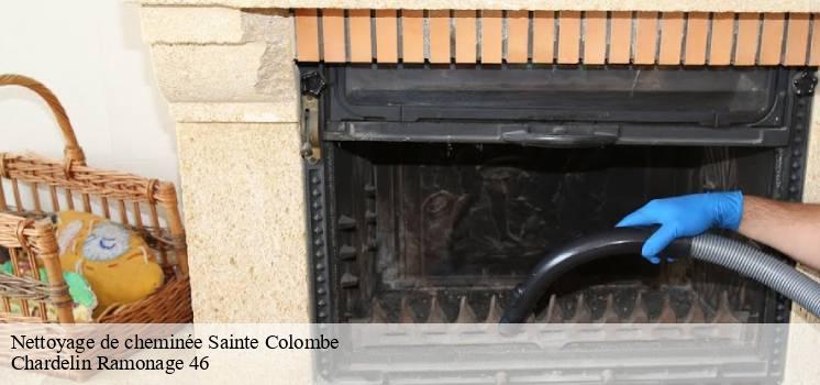 nettoyage-de-cheminee