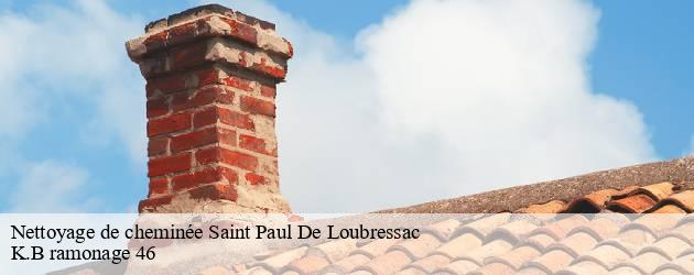 Ramoneur pour nettoyage de cheminée trouvable à Saint Paul De Loubressac 46170