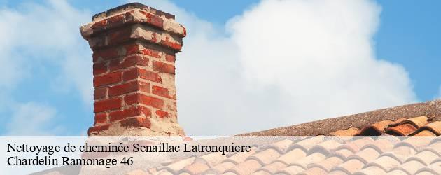 nettoyage-de-cheminee