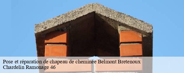 pose-et-reparation-de-chapeau-de-cheminee