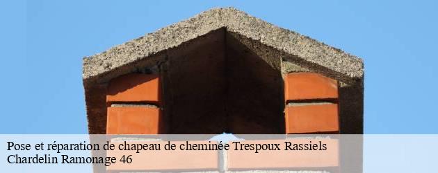 pose-et-reparation-de-chapeau-de-cheminee