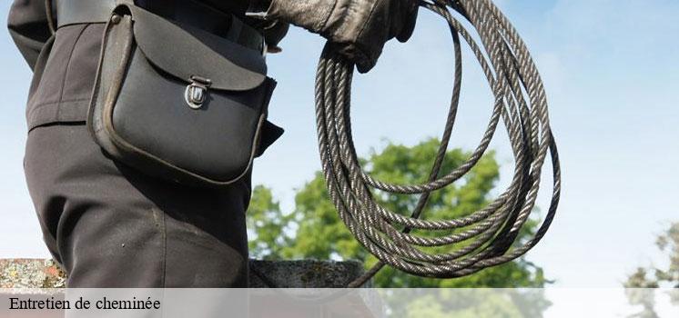 entretien-de-cheminee